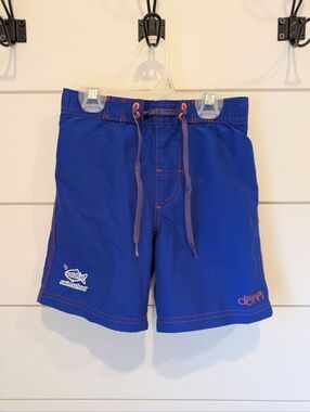 Dolfin Swim Trunks, size 4